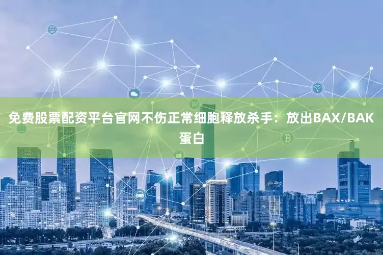 免费股票配资平台官网不伤正常细胞释放杀手：放出BAX/BAK蛋白