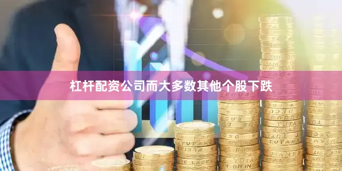 杠杆配资公司而大多数其他个股下跌